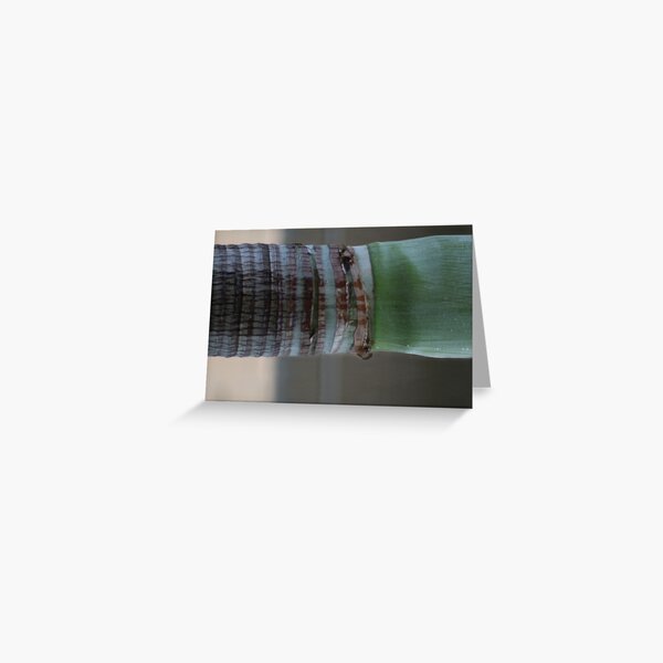 Suspended Greeting Card