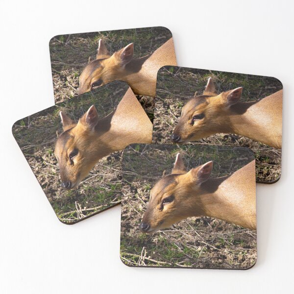Item preview, muntjac deer designed and sold by JRFotography.