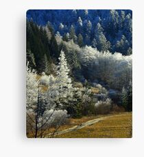 Frozen landscape Canvas Print