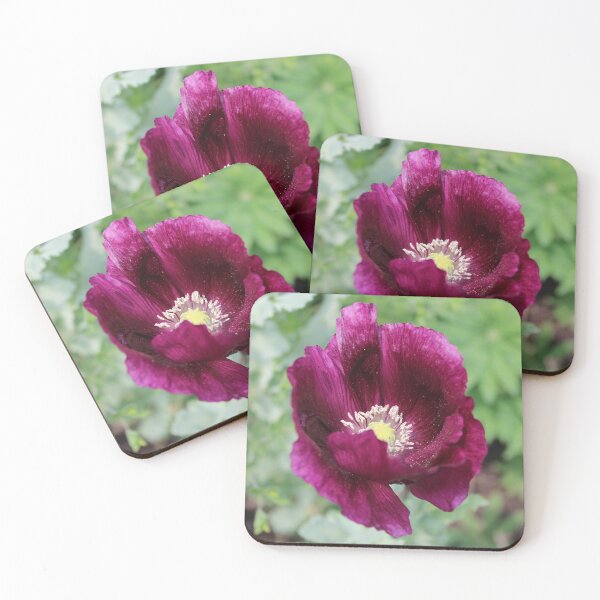 Item preview, Purple Poppy Bloom in June designed and sold by Bud, Blossom & Bloom.