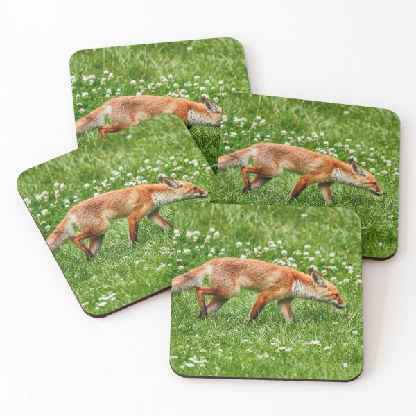 Item preview, Fox in the grass III designed and sold by Eidetic Photos.
