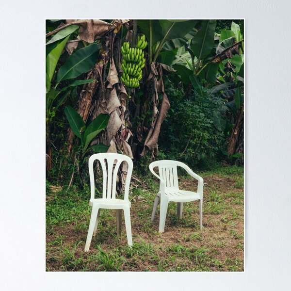 Sade Poster | Photographic Print