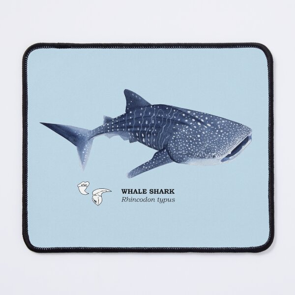 Item preview, WHALE SHARK-Rhincodon typus (name and teeth) designed and sold by BEATRIZ ABAITUA.