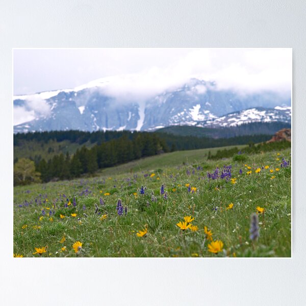 Item preview, Bighorn Mountains designed and sold by Dawne Olson.