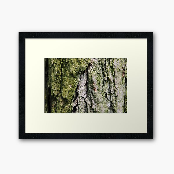 Item preview, Tree Bark with Moss designed and sold by Bud, Blossom & Bloom.