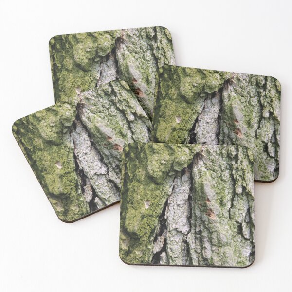 Item preview, Tree Bark with Moss designed and sold by Bud, Blossom & Bloom.