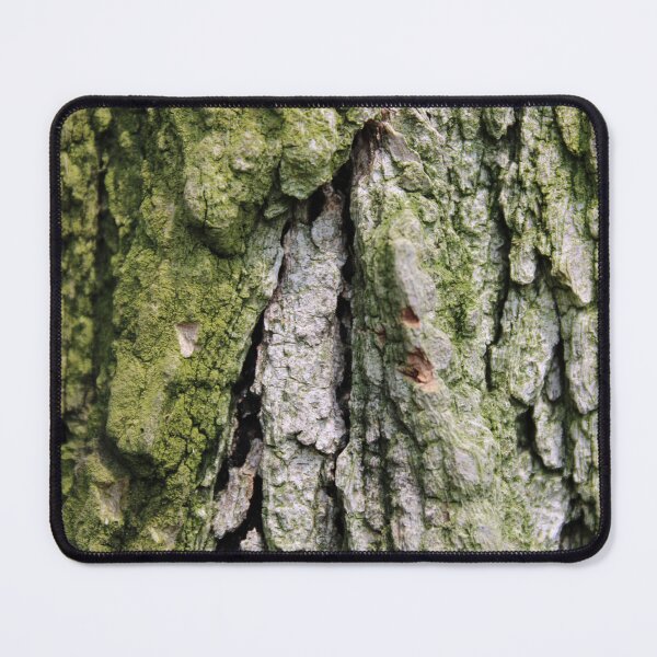 Item preview, Tree Bark with Moss designed and sold by Bud, Blossom & Bloom.