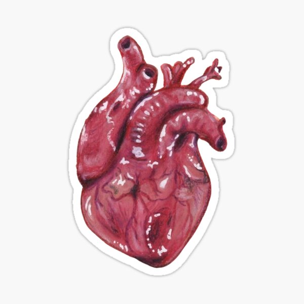 Item preview, Anatomical Red Heart designed and sold by iamieshop.