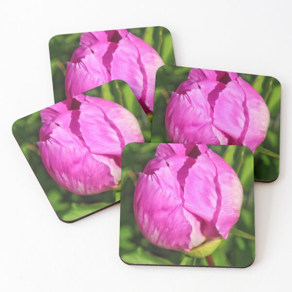 Item preview, vibrant pink peony bud  designed and sold by InezPhotography.