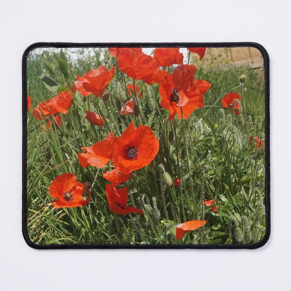 Item preview, Lest We Forget (Remembrance Day) designed and sold by StormCloudPhotography.