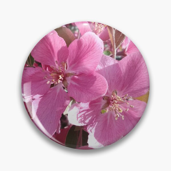 Item preview, Crabapple Blossoms designed and sold by Debbie Schulte.