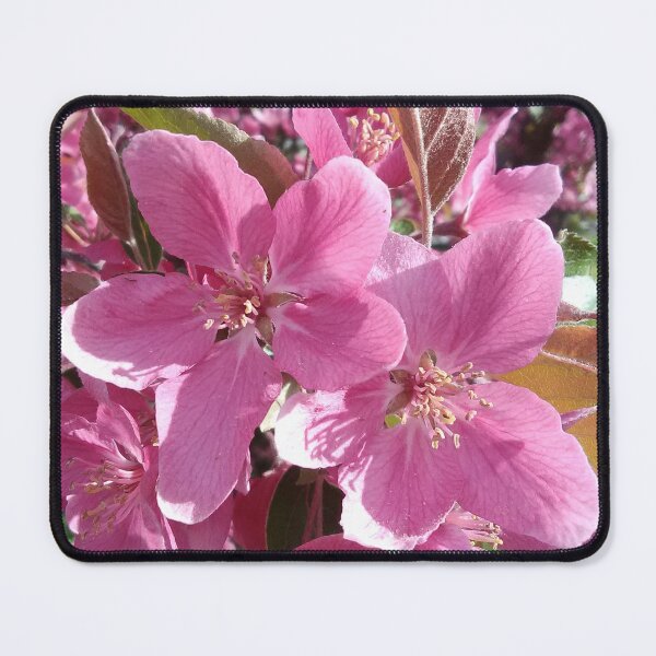 Item preview, Crabapple Blossoms designed and sold by Debbie Schulte.