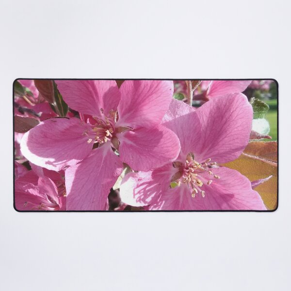 Item preview, Crabapple Blossoms designed and sold by Debbie Schulte.