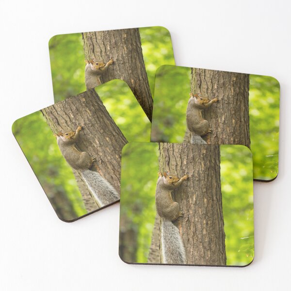 Item preview, Squirrel on a Tree in Prospect Park designed and sold by Aure50.