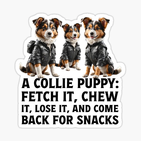 Item preview, Owner of cute pet puppy Collie dog. designed and sold by Drone-tees.