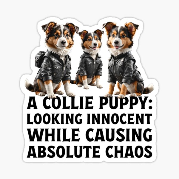 Item preview, Owner of cute pet puppy Collie dog. designed and sold by Drone-tees.