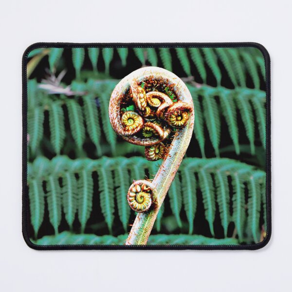 Item preview, Curly NZ Tree Fern  designed and sold by Ozjanette90.