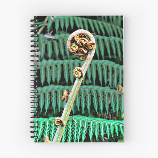 Item preview, Curly NZ Tree Fern  designed and sold by Ozjanette90.