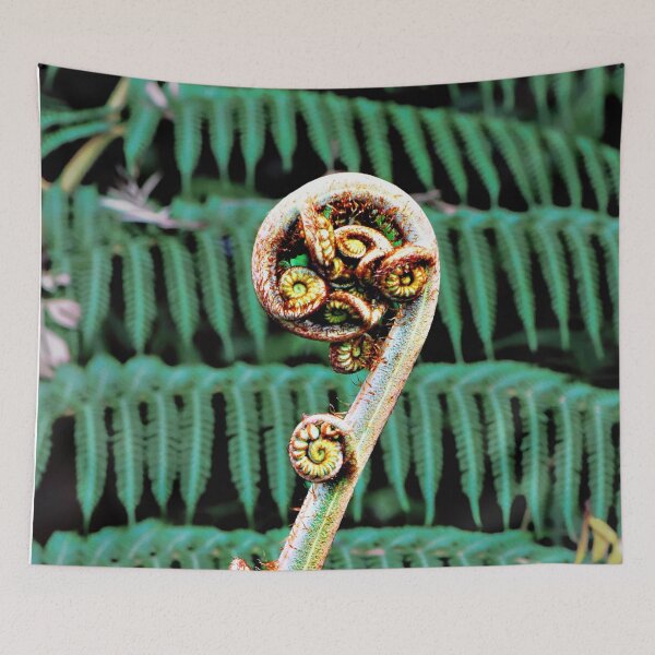 Item preview, Curly NZ Tree Fern  designed and sold by Ozjanette90.