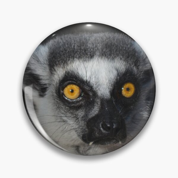 Item preview, Ring Tailed Lemur designed and sold by richardbryce.