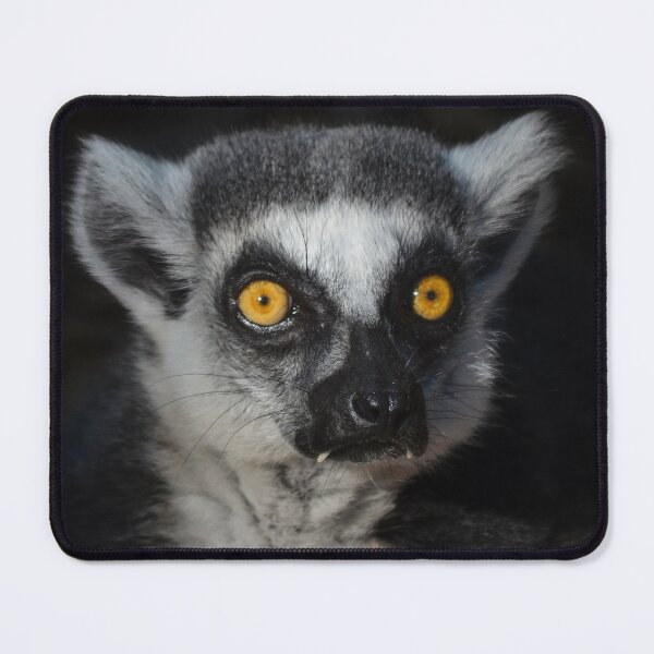 Item preview, Ring Tailed Lemur designed and sold by richardbryce.