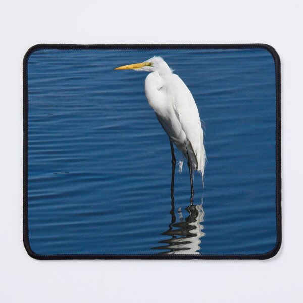 Item preview, Merritt Island Reflecting Egret designed and sold by richardbryce.