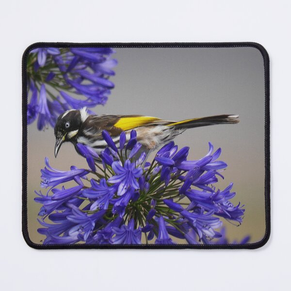 Item preview, New Holland Honeyeater ( 1 ) designed and sold by Larry Davis.