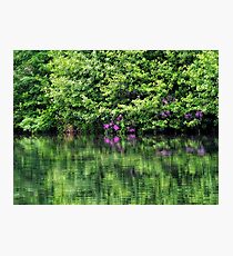 Spring Reflections Photographic Print