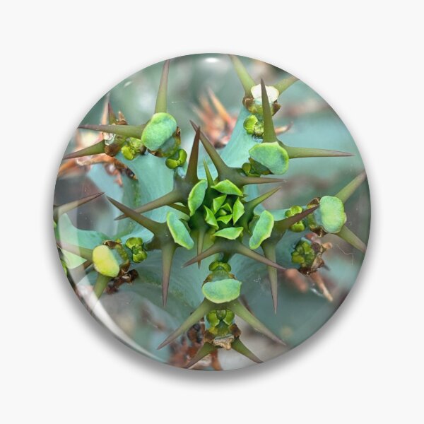 Item preview, Spiny Cactus Thorns designed and sold by Bud, Blossom & Bloom.