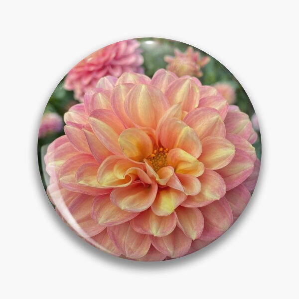 Item preview, Dahlia Just Before Sunset designed and sold by Bud, Blossom & Bloom.