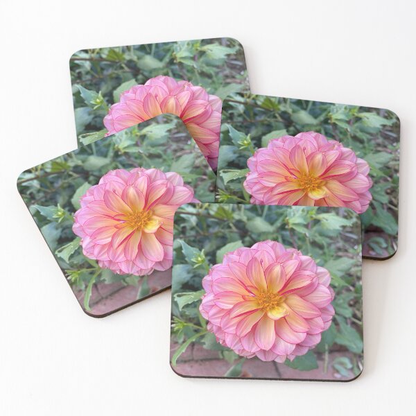 Item preview, Pink Dahlia Just Before Sunset designed and sold by Bud, Blossom & Bloom.
