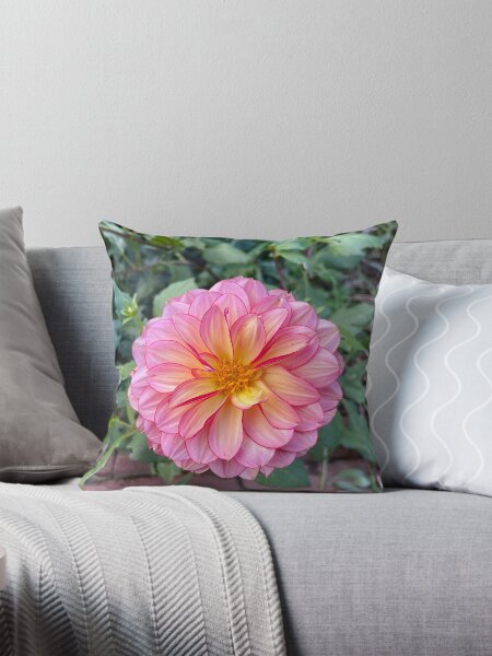 Item preview, Pink Dahlia Just Before Sunset designed and sold by Bud, Blossom & Bloom.