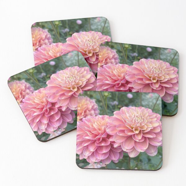Aperçu de l'œuvre Paire de dahlias roses créée et vendue par Bud, Blossom & Bloom.