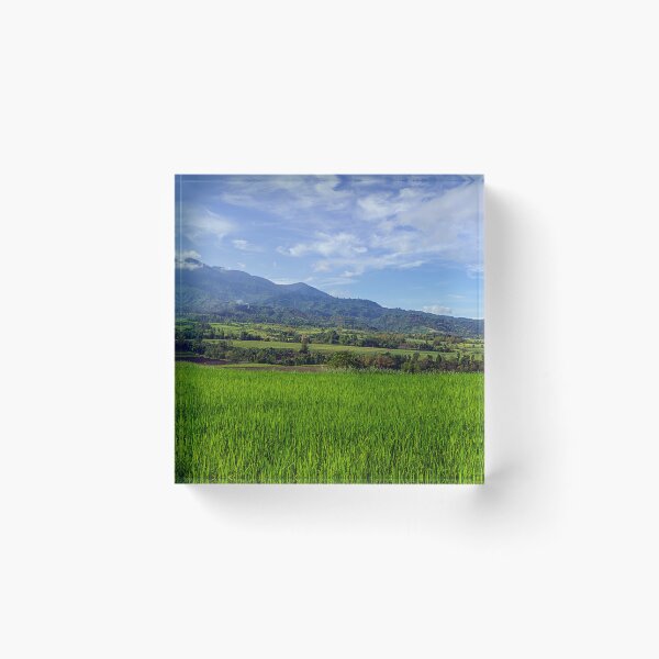Item preview, Philippine Highland Landscape designed and sold by likbatonboot.