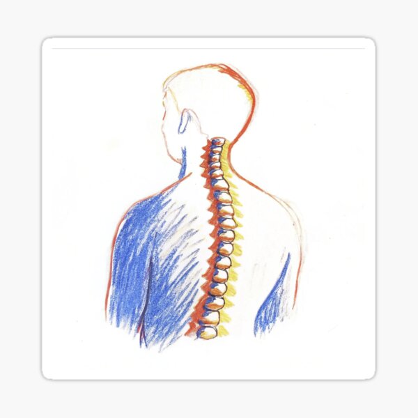 Item preview, Pilates and spine 2 designed and sold by C-cici.