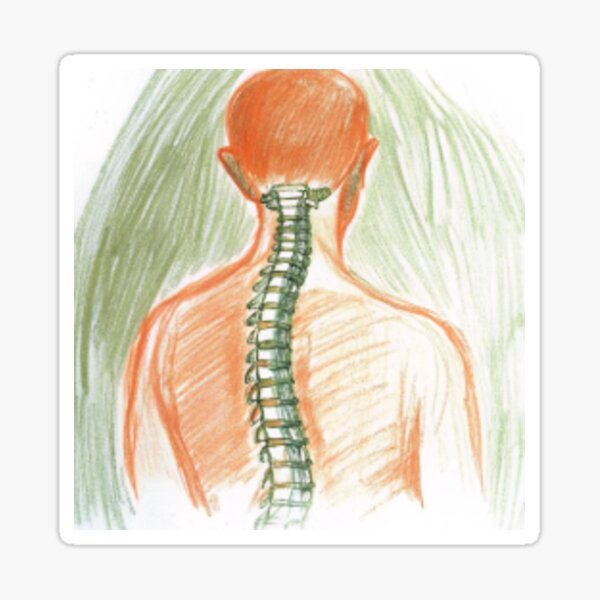 Item preview, Pilates and spine4 designed and sold by C-cici.