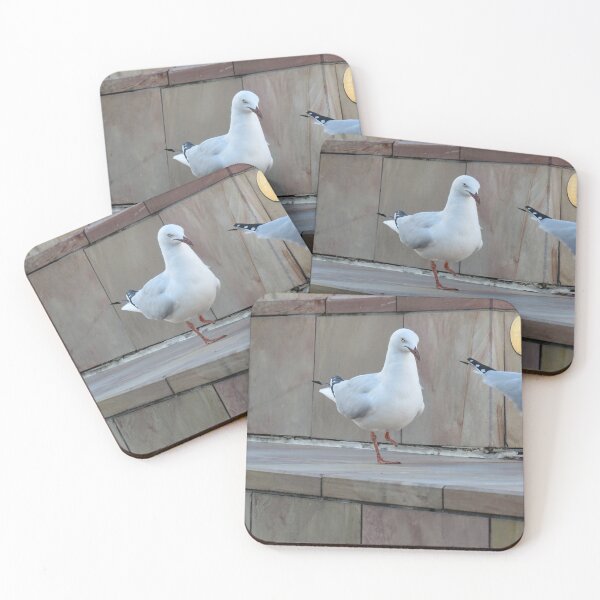 Item preview, One-footed silver gull designed and sold by greentiger1.