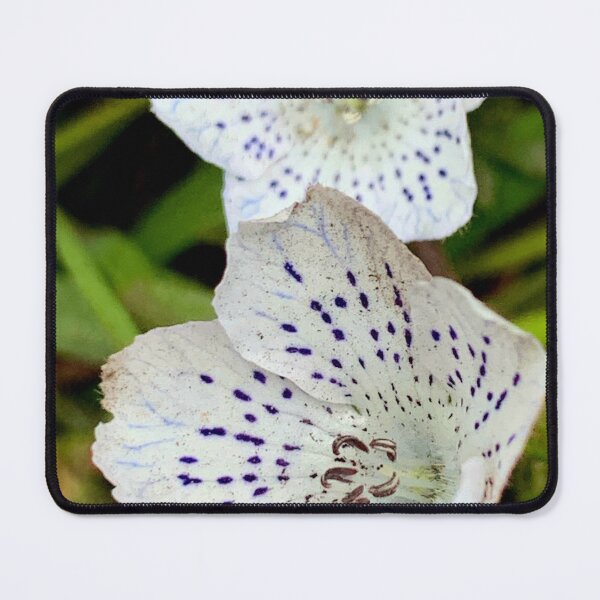Item preview, Speckles designed and sold by Betsy Phillips.