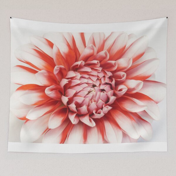 Item preview, Dahlia designed and sold by Theonebespoke.