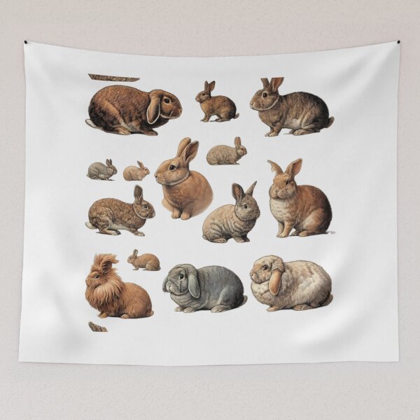 Item preview, Rabbit Breeds Illustrated – A Guide to Bunny Variations designed and sold by LuxuryApparels.