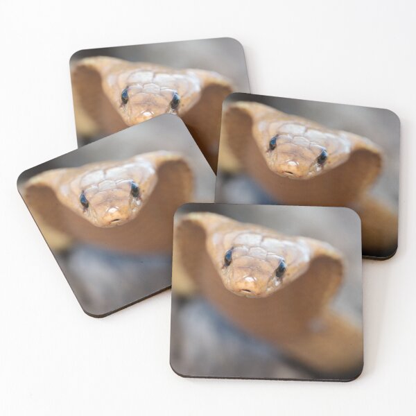 Item preview, Cape Cobra (Naja nivea) designed and sold by Pixel Press Prints.