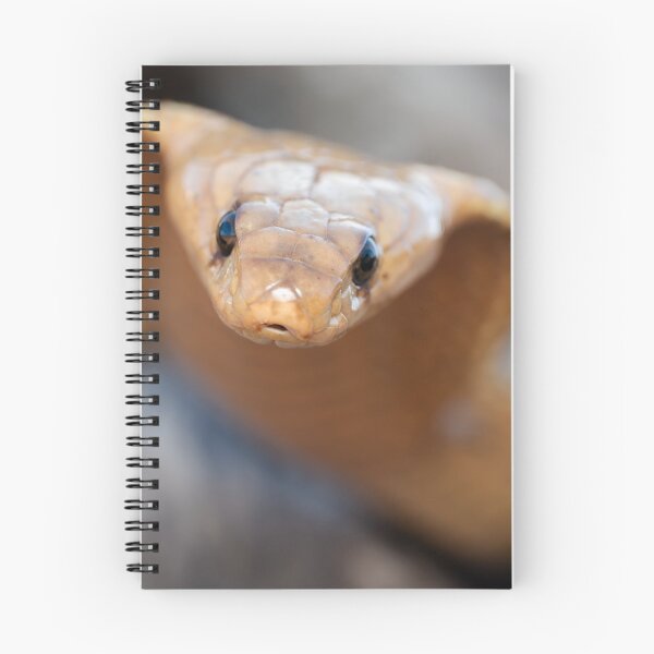 Item preview, Cape Cobra (Naja nivea) designed and sold by Pixel Press Prints.