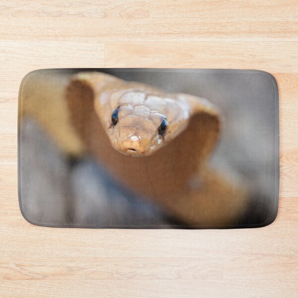 Item preview, Cape Cobra (Naja nivea) designed and sold by Pixel Press Prints.