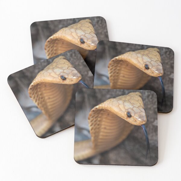 Item preview, Cape Cobra (Naja nivea) designed and sold by Pixel Press Prints.