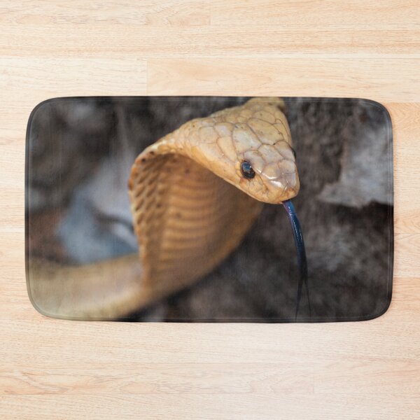 Item preview, Cape Cobra (Naja nivea) designed and sold by Pixel Press Prints.
