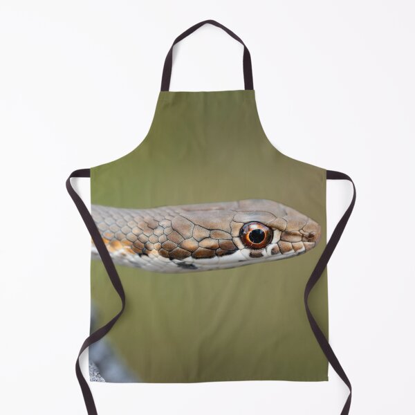 Item preview, Karoo Sand Snake (Psammophis notostictus) designed and sold by Pixel Press Prints.