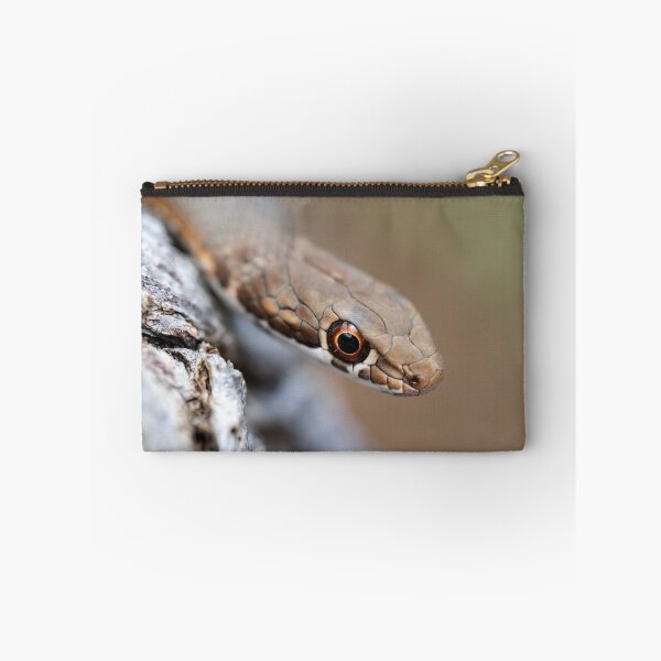Item preview, Karoo Sand Snake (Psammophis notostictus) designed and sold by Pixel Press Prints.