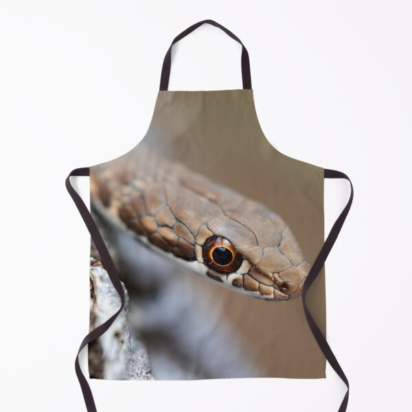 Item preview, Karoo Sand Snake (Psammophis notostictus) designed and sold by Pixel Press Prints.