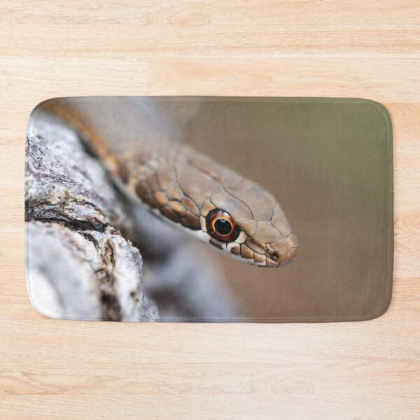 Item preview, Karoo Sand Snake (Psammophis notostictus) designed and sold by Pixel Press Prints.