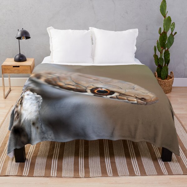 Item preview, Karoo Sand Snake (Psammophis notostictus) designed and sold by Pixel Press Prints.